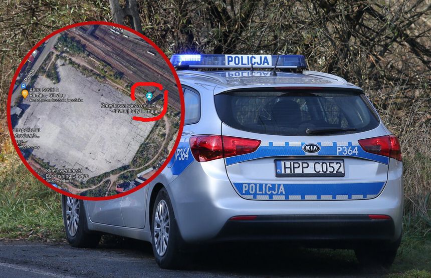 policja