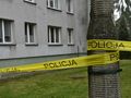 policja