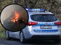 policja