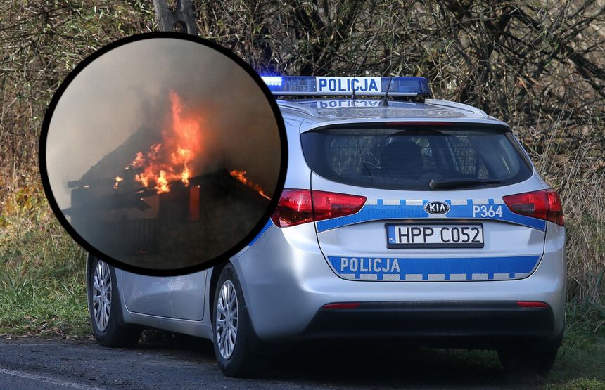 policja