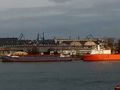 Gdynia. Samochód wjechał do basenu portowego