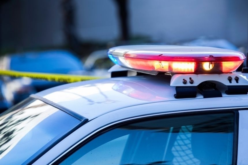 policja