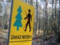 Zakaz wstępu do lasu