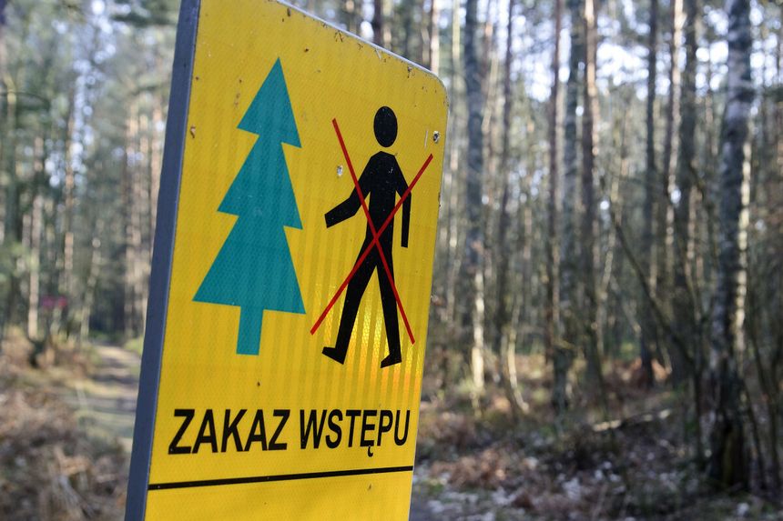 Zakaz wstępu do lasu