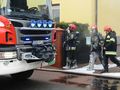 policja