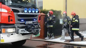 policja