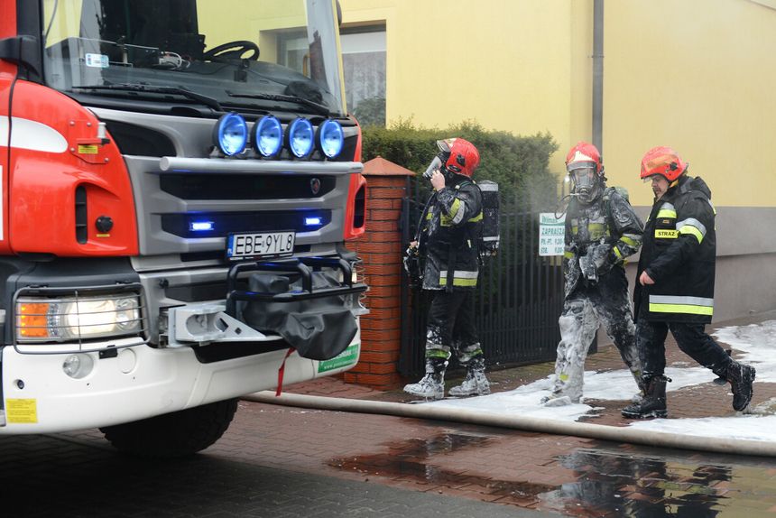 policja