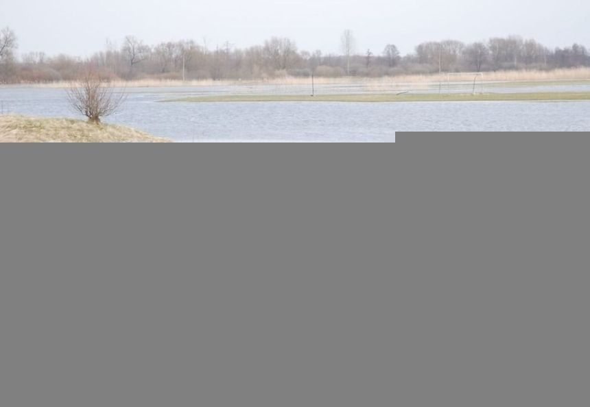 Lubartów: 10-latek nie żyje, matka zniknęła. "Możliwości są dwie"