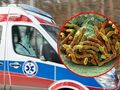 Zakażenia bakterią Legionella