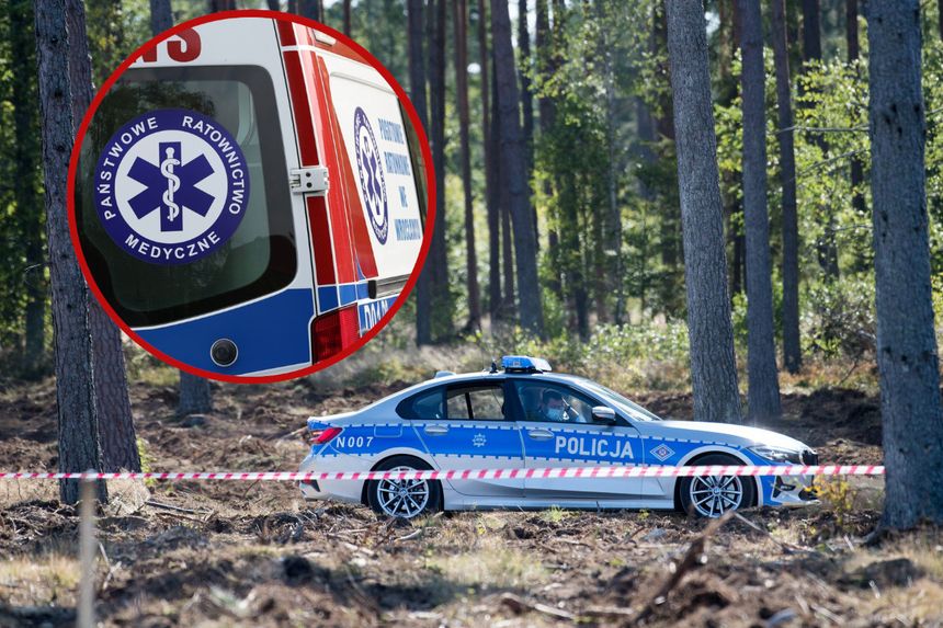 policja, karetka