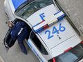 Policja