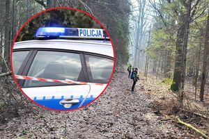Podlaskie. Szczątki w lesie pod Hajnówką