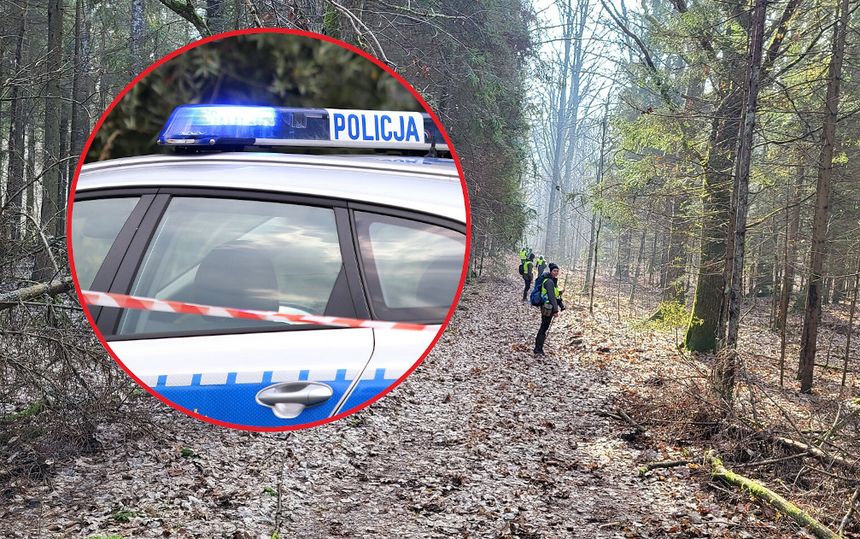 Podlaskie. Szczątki w lesie pod Hajnówką