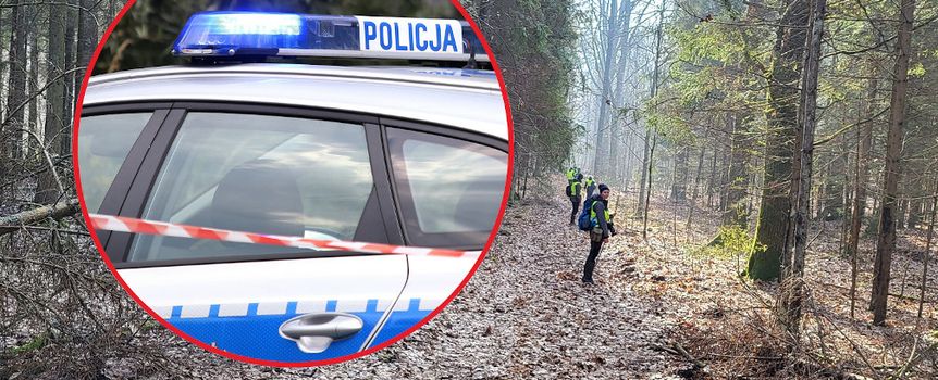Podlaskie. Szczątki w lesie pod Hajnówką