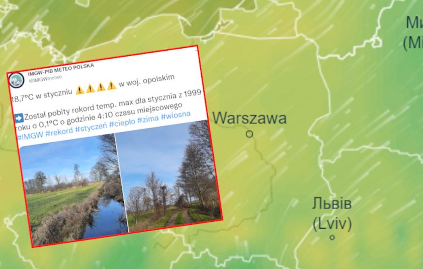 Rekord ciepła w styczniu