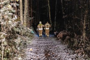 11-latek przepadł w Podkarpackim lesie. Nagle pojawił się ojciec
