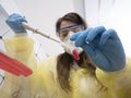 Laboratorium