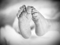 Pięcioraczki