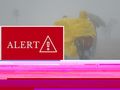 alert RCB