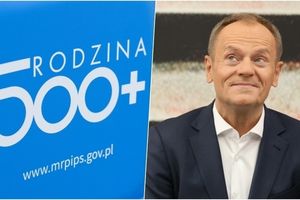 500 plus i Donald Tusk