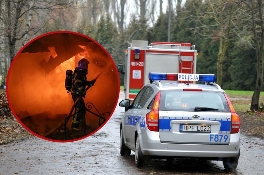 policja