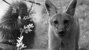 warszawskie zoo