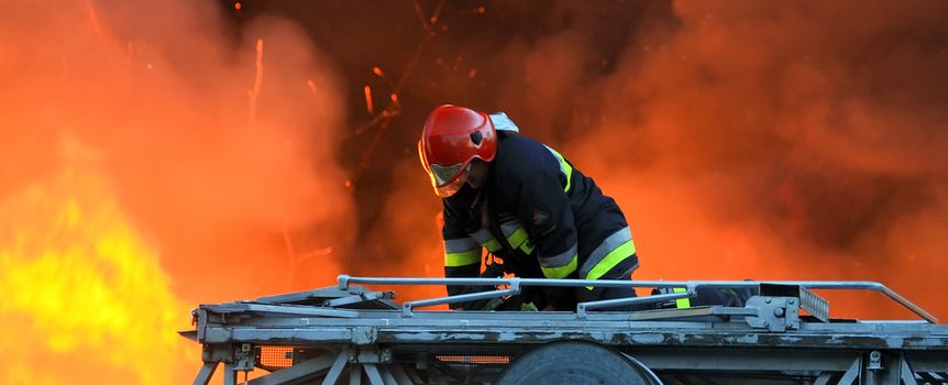 Warszawa. Pożar w stadninie koni Huculski Raj