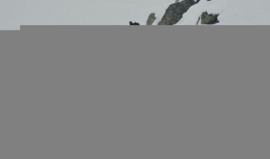 Fala hejtu po akcji TOPR