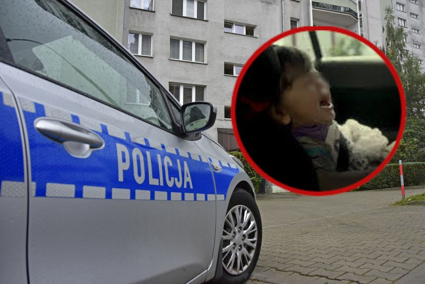 policja