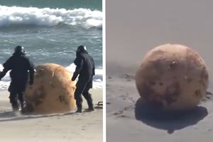 Kula na japońskiej plaży
