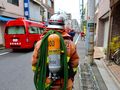 Japonia