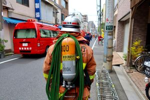 Japonia