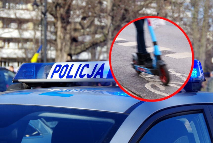 policja