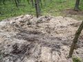 Rakieta spadła pod Bydgoszczą