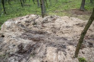 Rakieta spadła pod Bydgoszczą