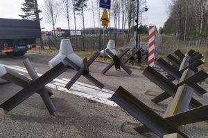 Jeże na granicy z Rosją