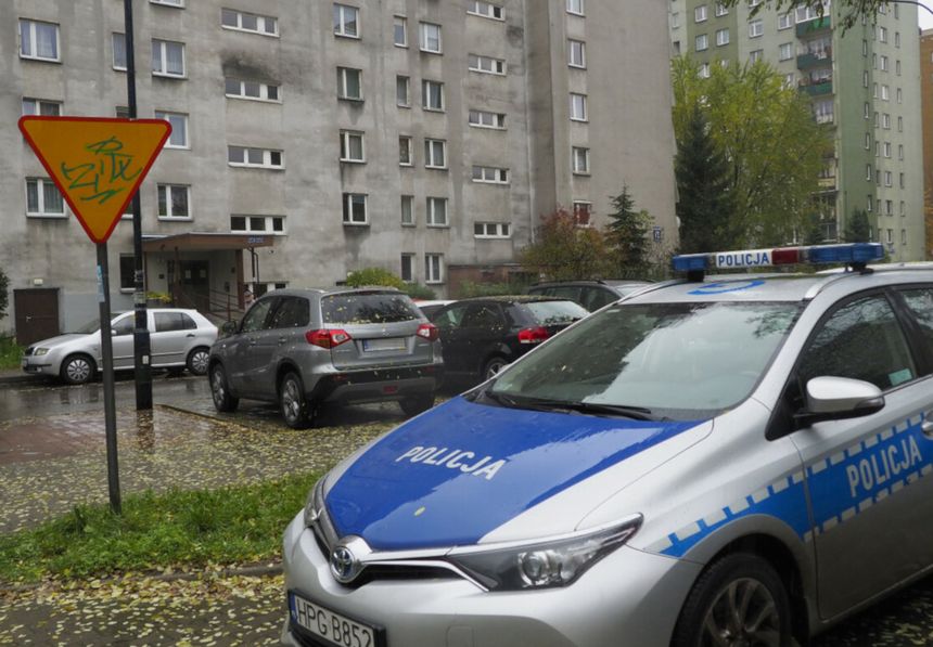 policja
