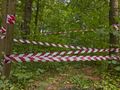 Ciało ukryto w lesie