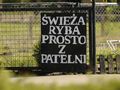 transparent o ofercie smażonych ryb