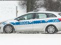 Zmarły przygarnięte psy. Są zarzuty