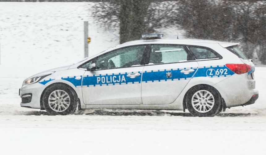 Zmarły przygarnięte psy. Są zarzuty