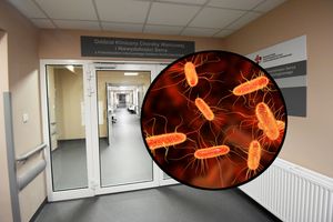 bakteria coli w szpitalu