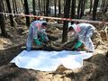 Ślady tortur na ofierze zbrodni Rosjan w Izium