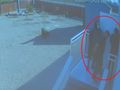 Znaleziono zwłoki rodziny
