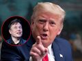 Donald Trump, Elon Musk