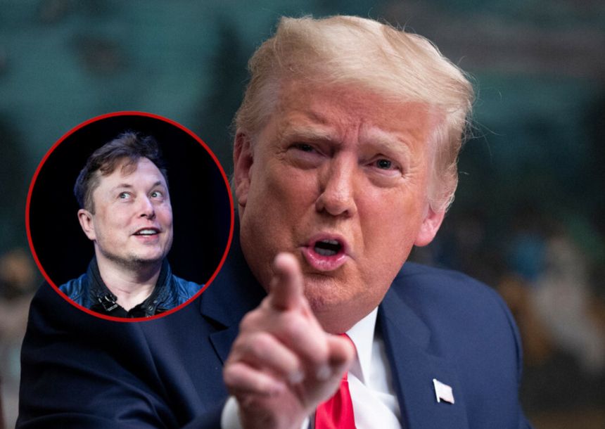 Donald Trump, Elon Musk