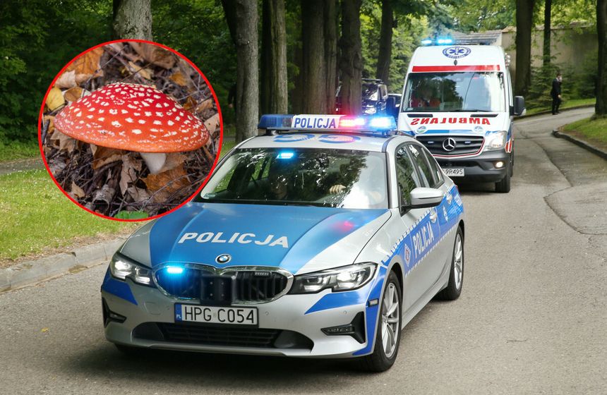 Radiowóz policyjny i karetka pogotowia