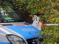 Policja