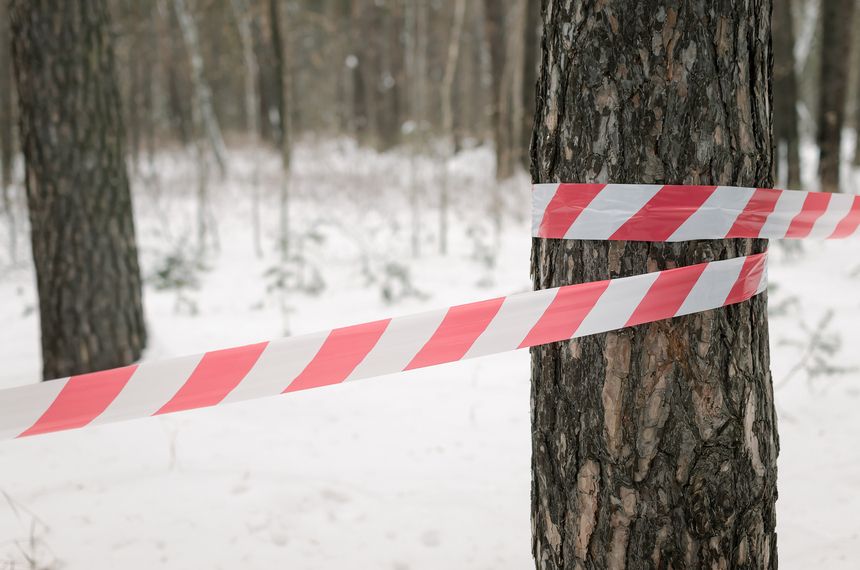 Zdjęcie ilustracyjne