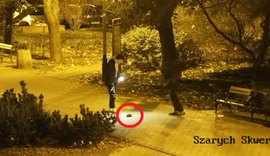 Dwoje nieletnich znęcało się nad jeżem